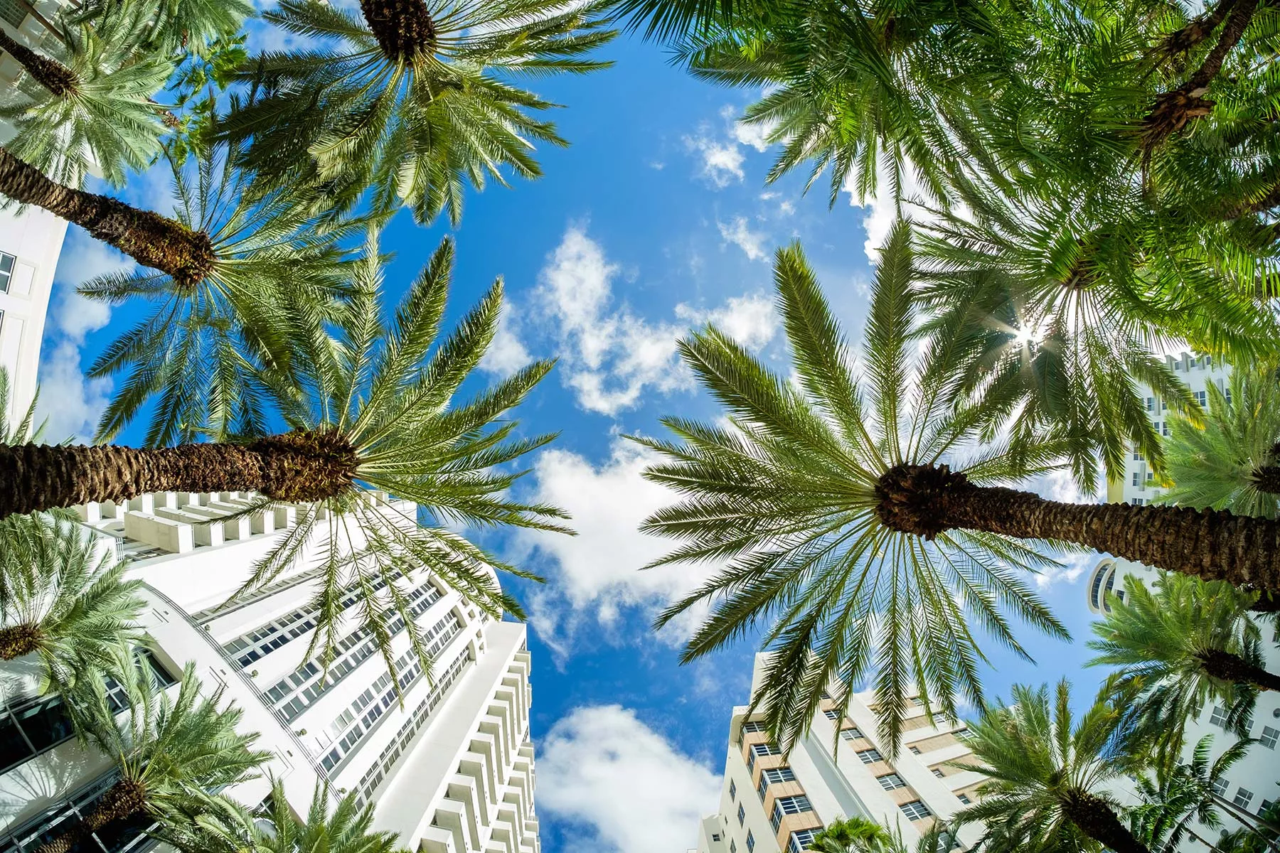 moving to miami
