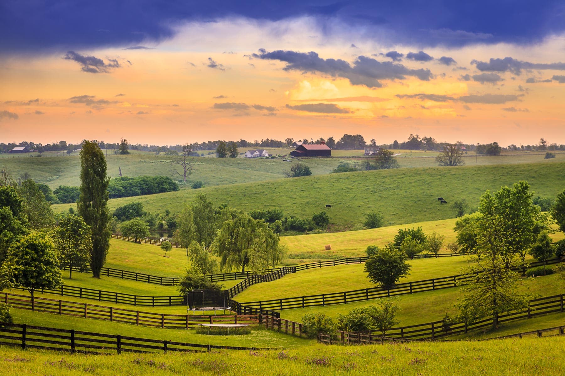 20 HONEST Pros & Cons of Living in Kentucky (Firsthand Account)