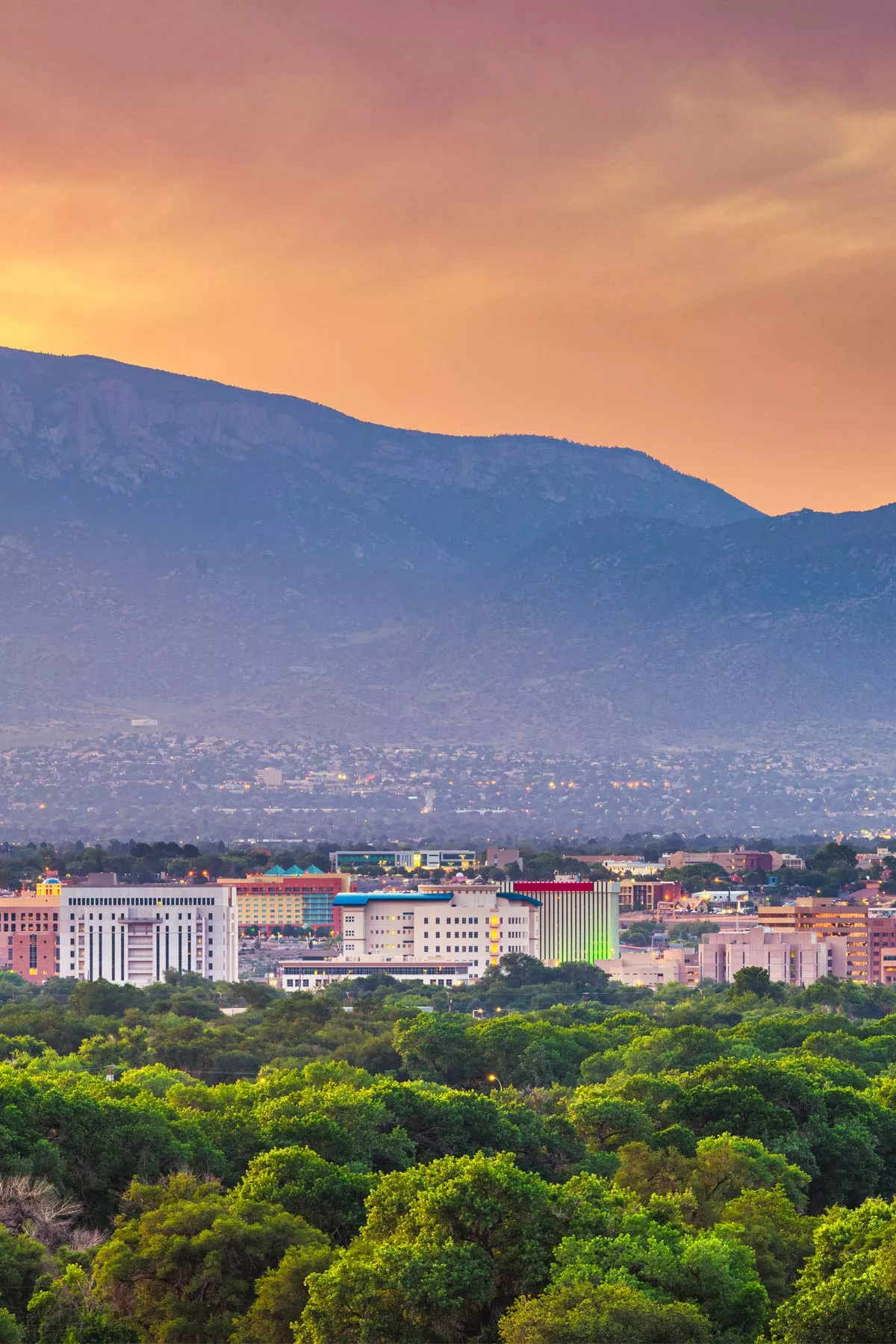 living in new mexico, moving to new mexico