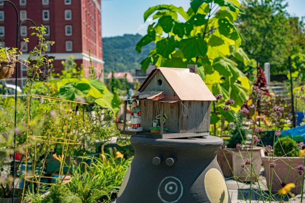 15 HONEST Pros & Cons of Living in Asheville (North Carolina)