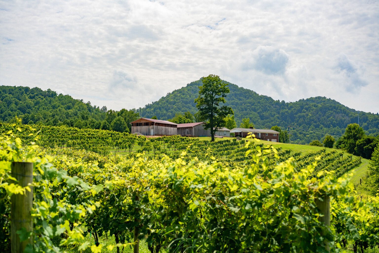 15 HONEST Pros & Cons of Living in Asheville (North Carolina)