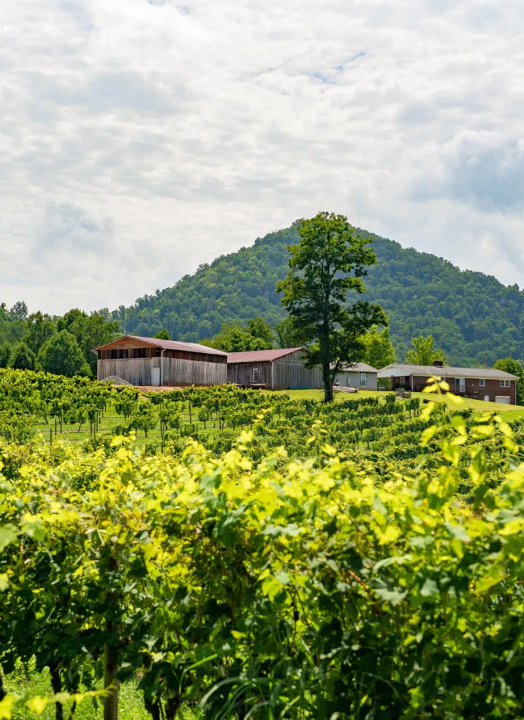 15 HONEST Pros & Cons of Living in North Carolina (Let’s Talk)