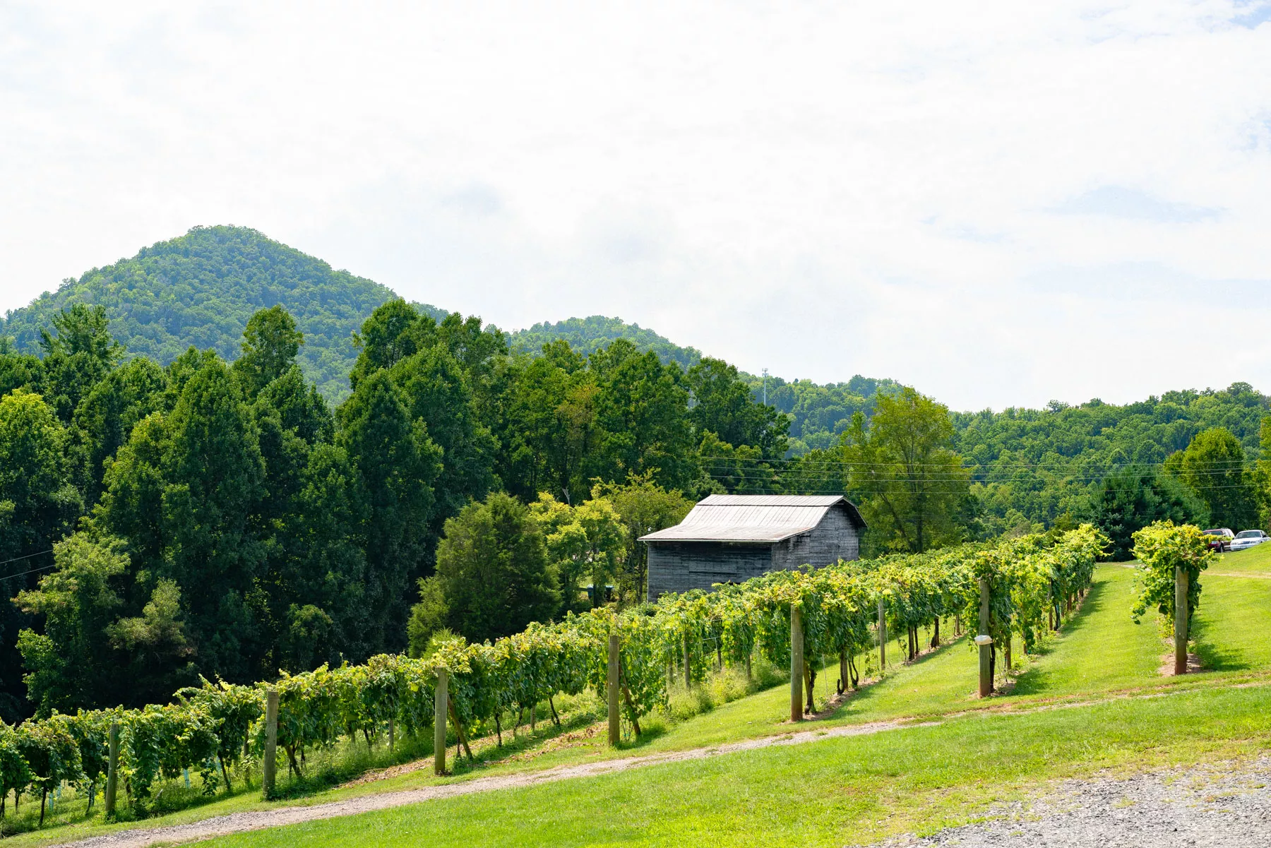 living in asheville, moving to asheville