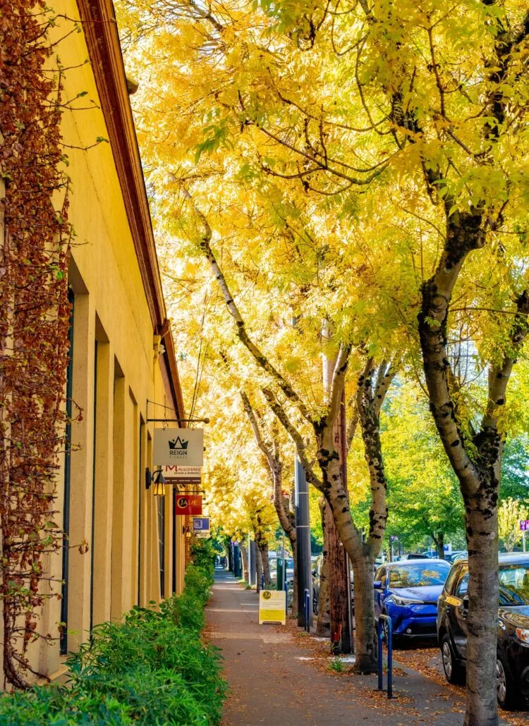 12 Things to Know About Living in Seattle Vs. Portland (Local’s Take)