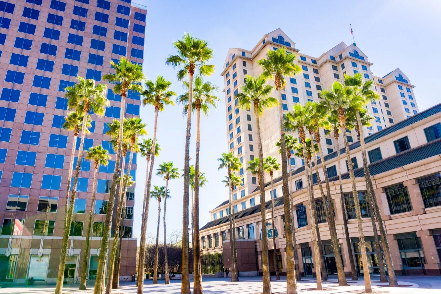 moving to san jose