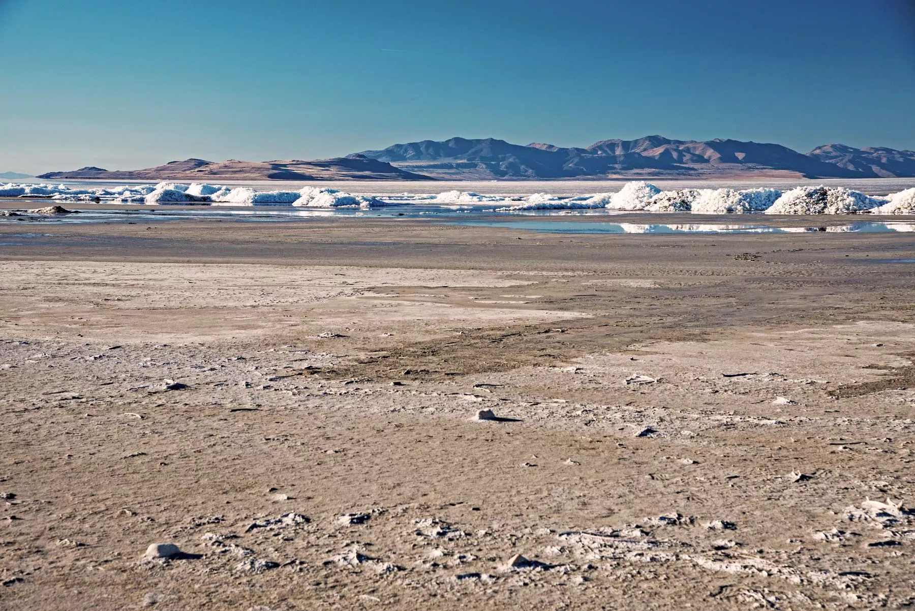 living in salt lake city, moving to salt lake city