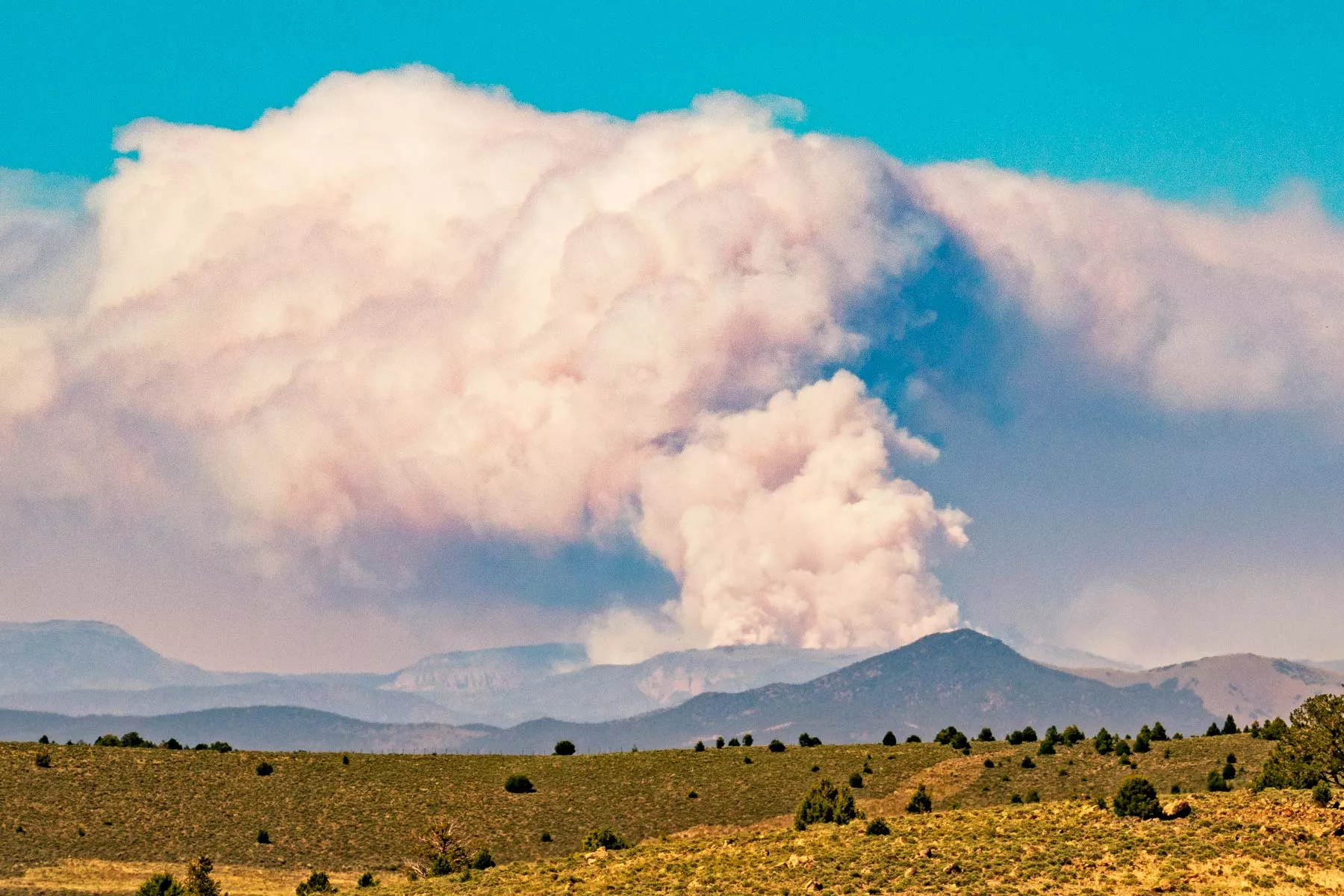 living in salt lake city, moving to salt lake city