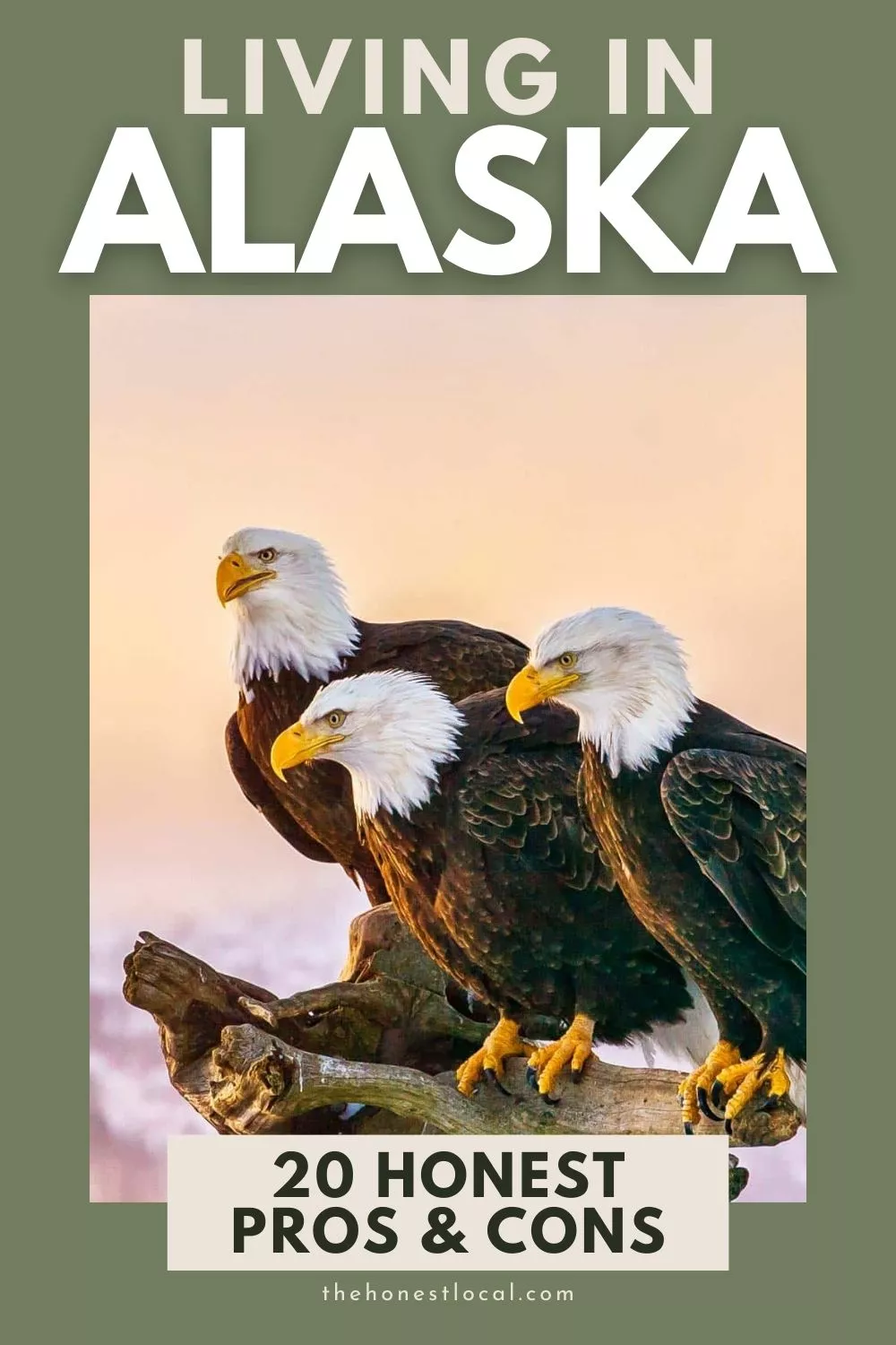 Pros and cons of moving to Alaska