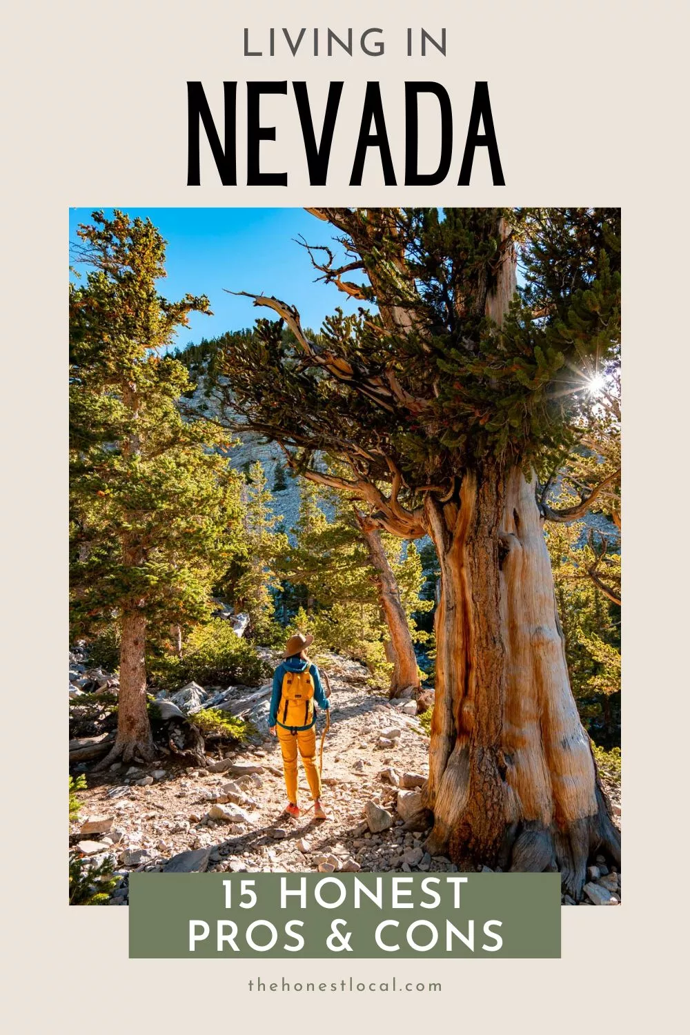 Pros and cons of moving to Nevada