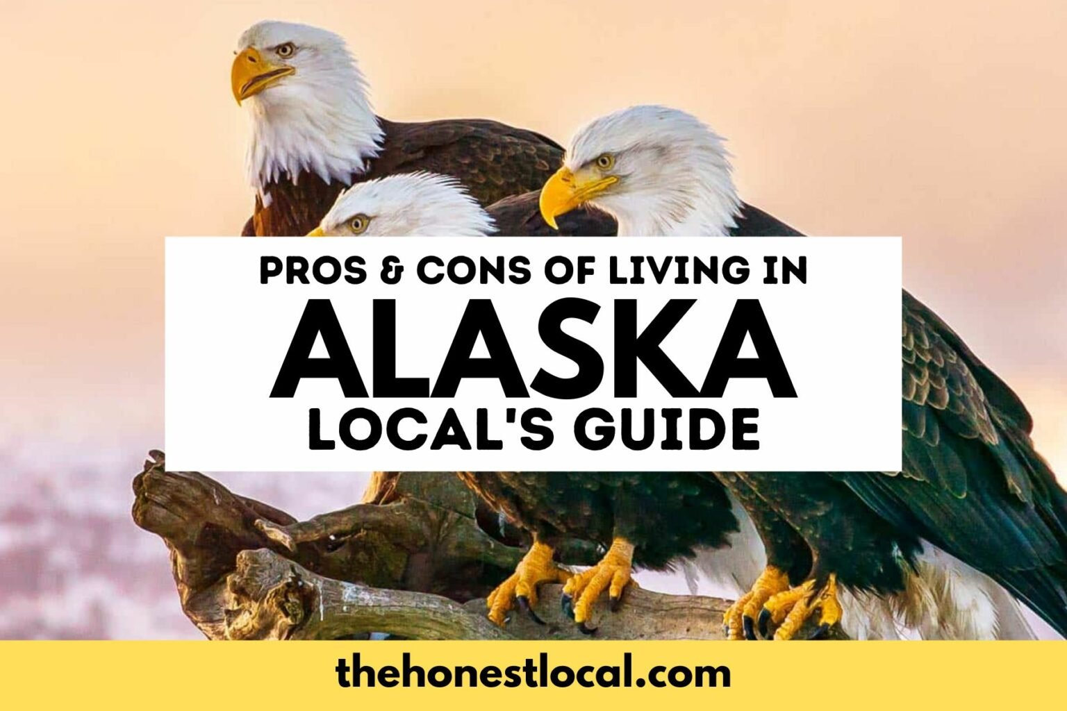 20 HONEST Pros & Cons of Living in Alaska (Let's Talk About It)