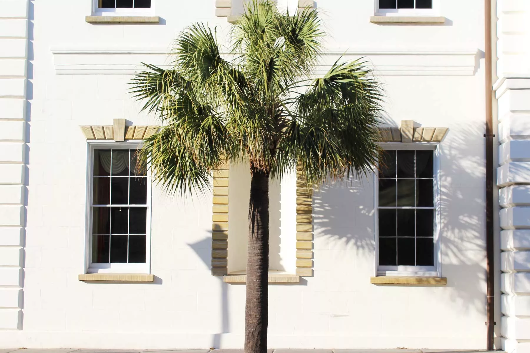 living in charleston, moving to charleston