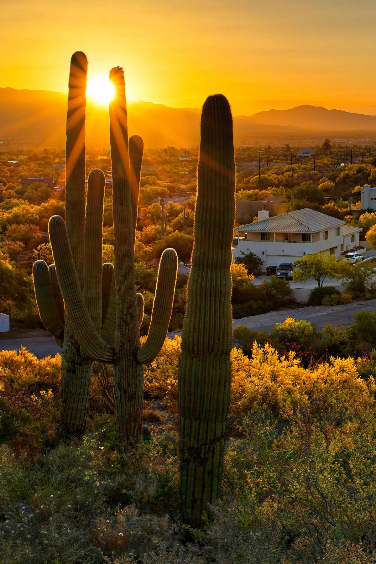 living in tucson, moving to tucson