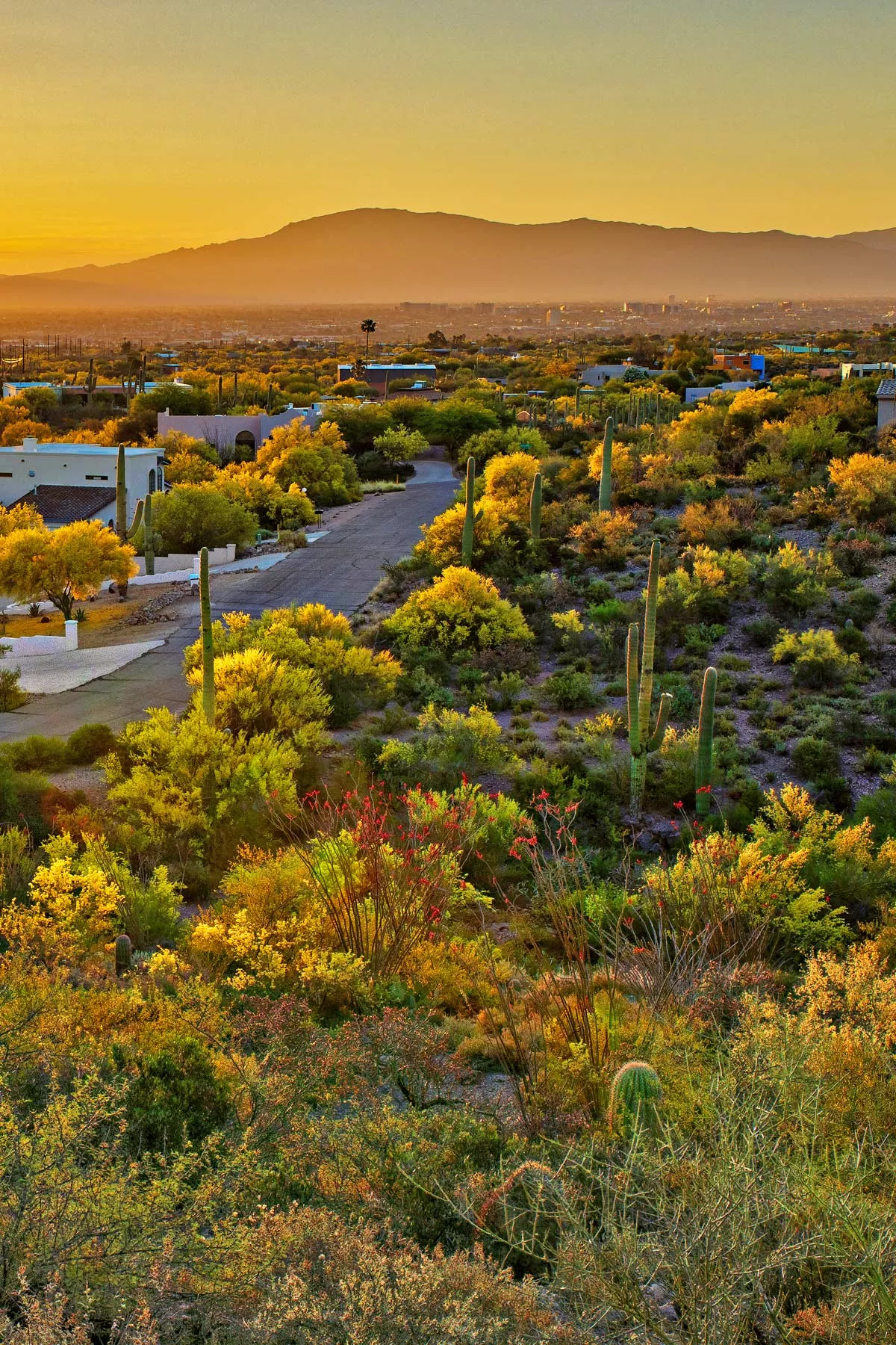 living in tucson, moving to tucson