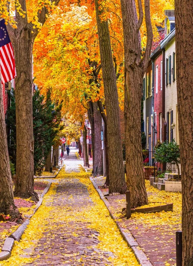 15 BEST Neighborhoods in Philadelphia to Live (+ Forum)