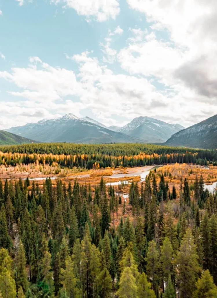 best places to live in montana