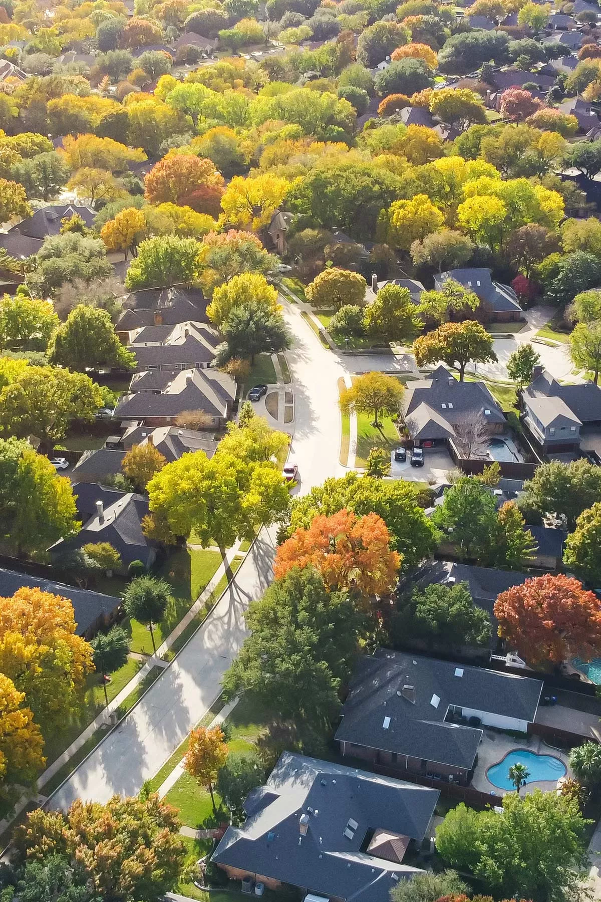 dallas texas living