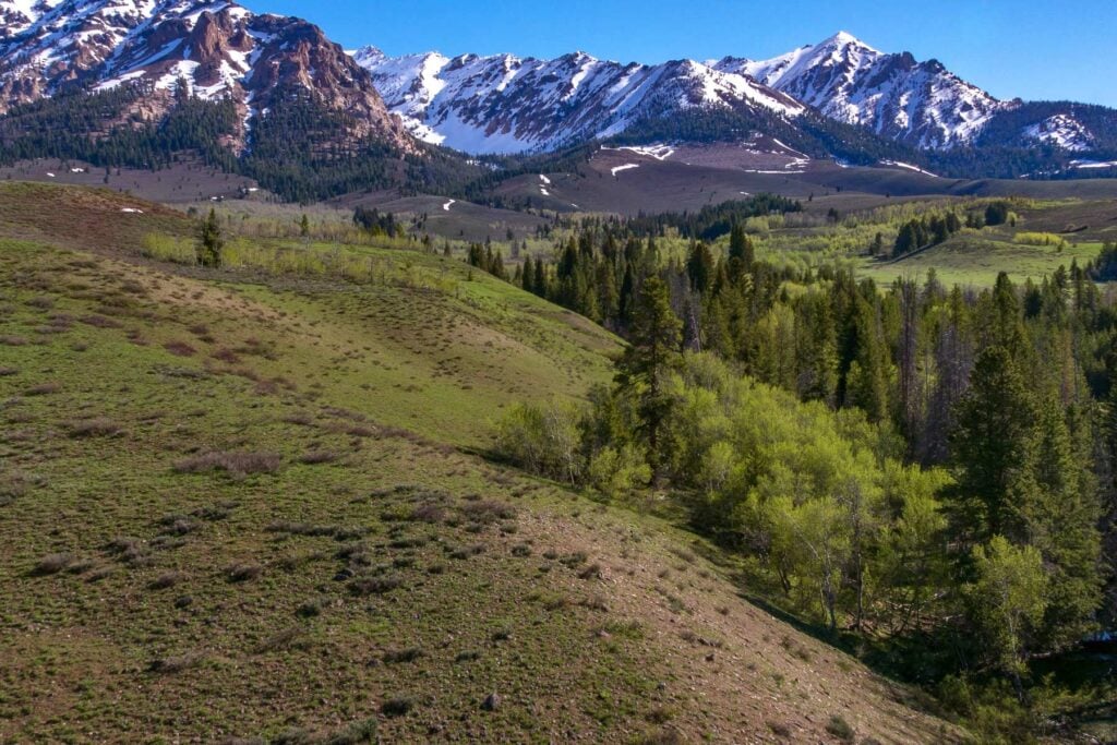 Idaho
