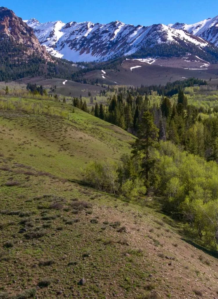15 HONEST Pros & Cons of Living in Idaho (Local’s Opinion)