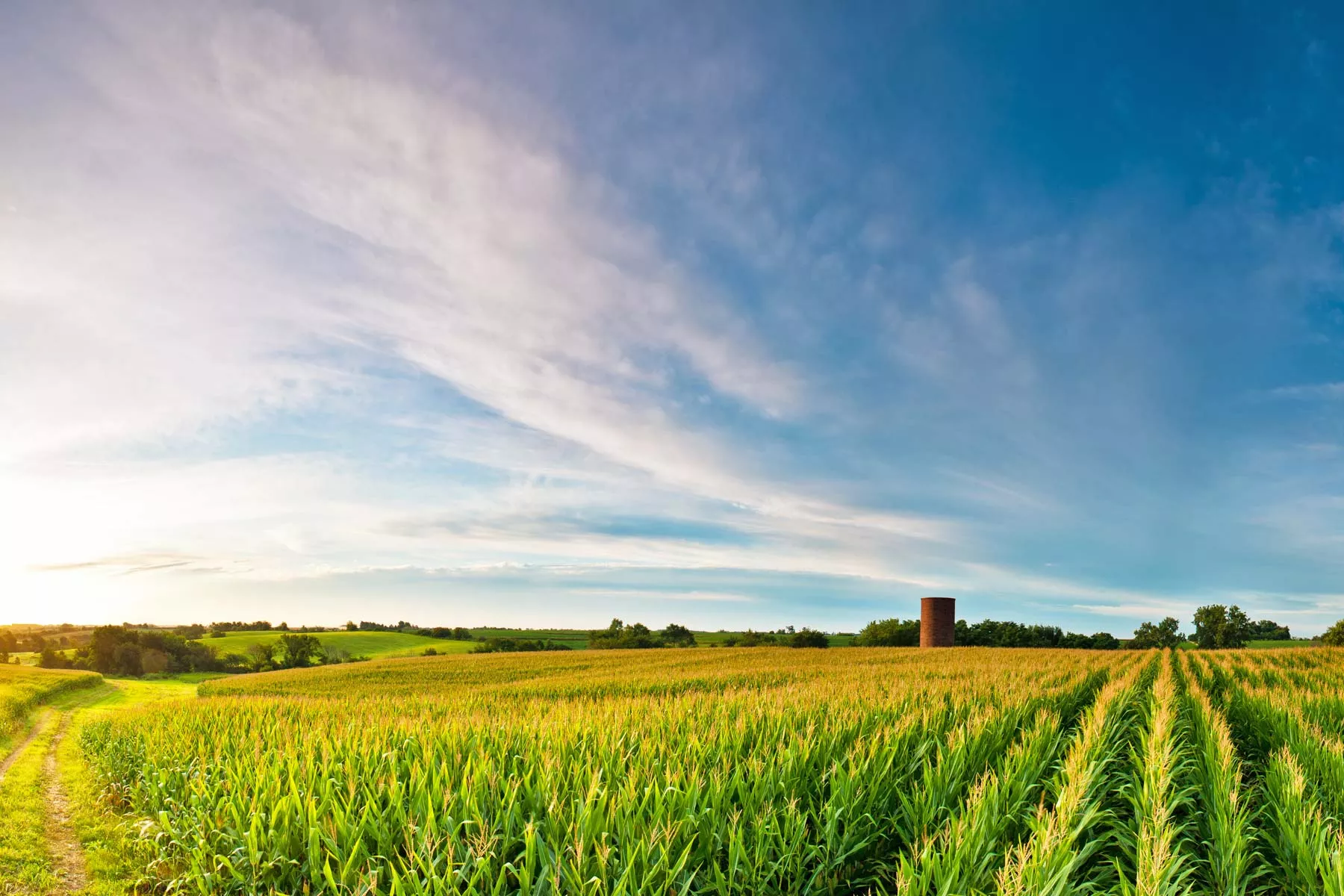 living in iowa, moving to iowa