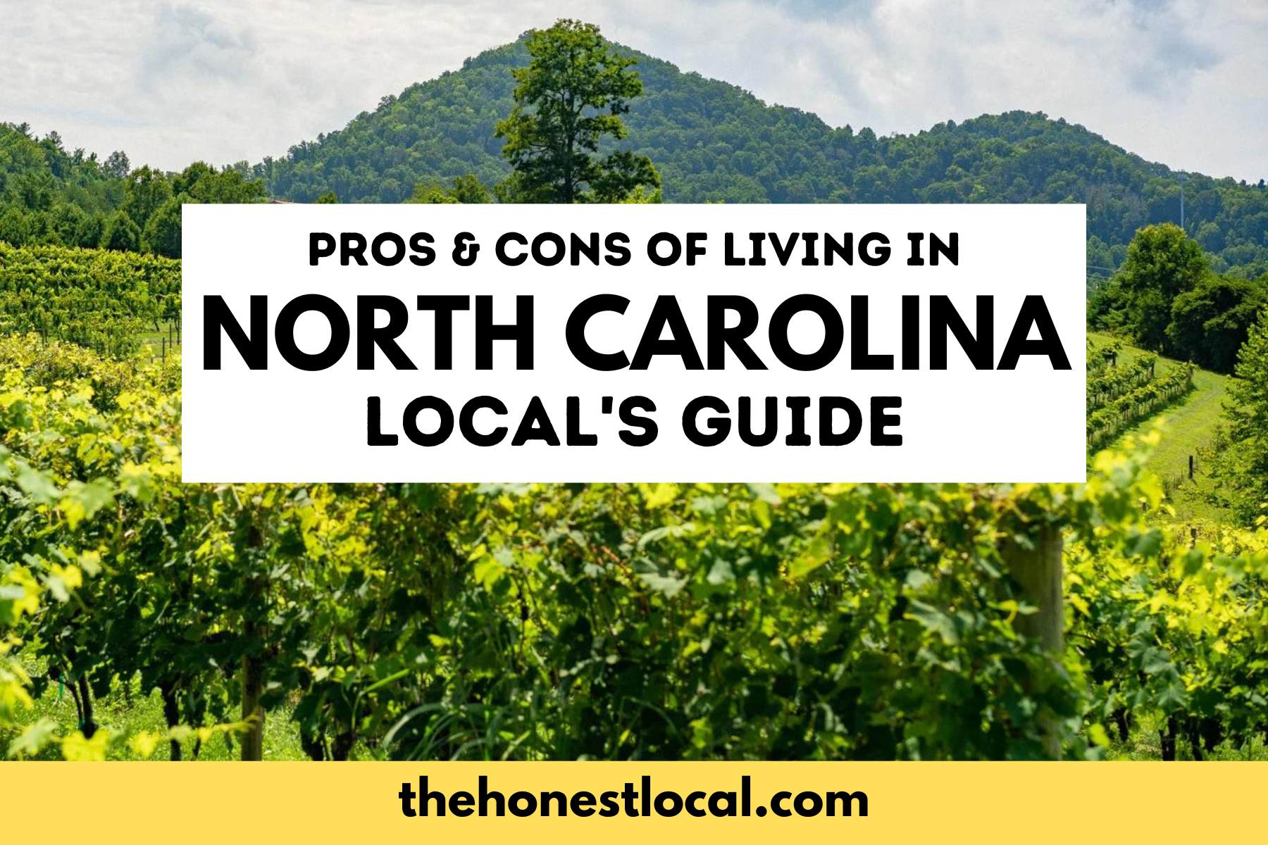 pros and cons of living in north carolina