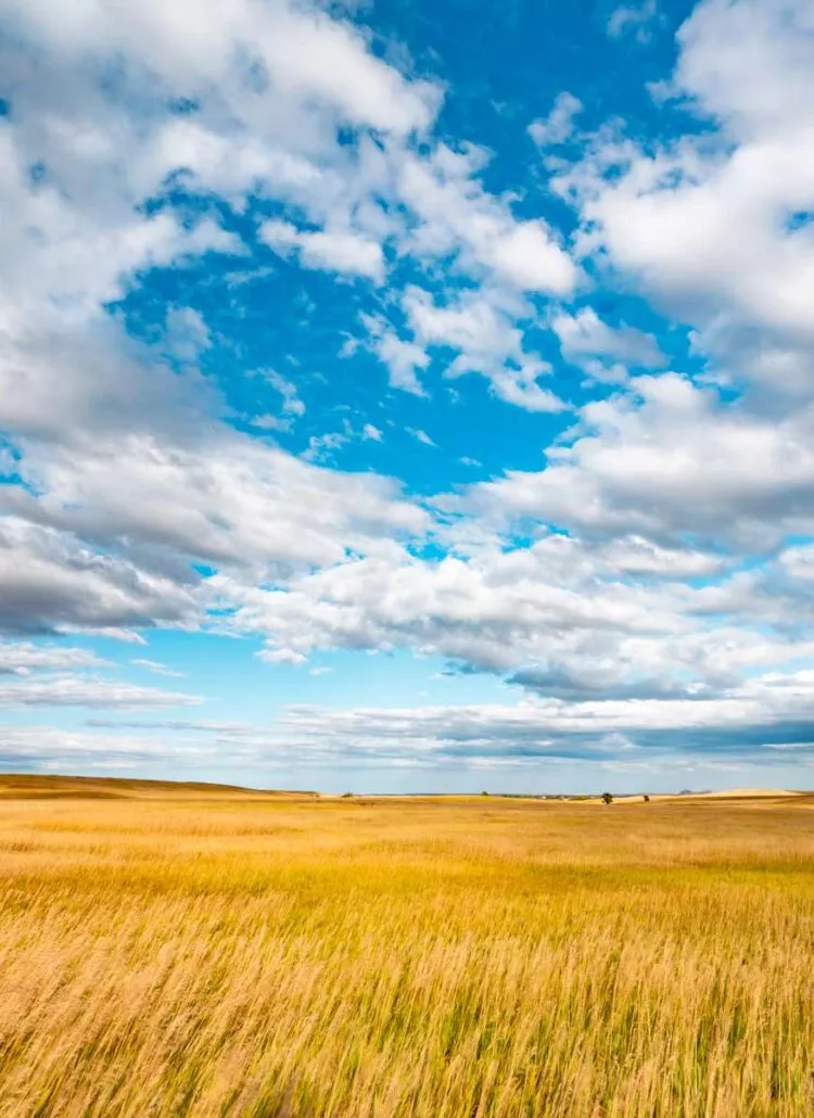 living in south dakota, moving to south dakota