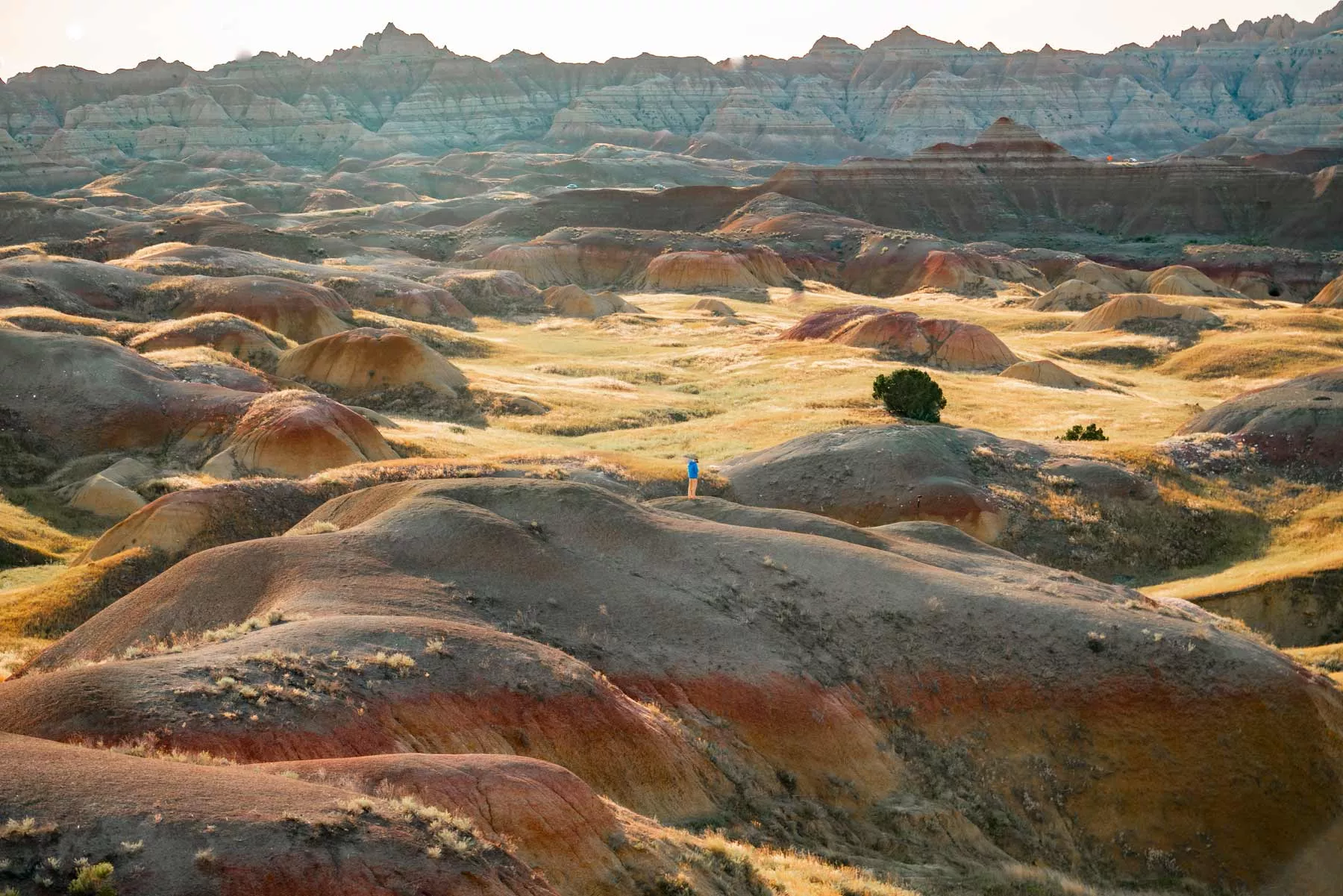 living in south dakota, moving to south dakota