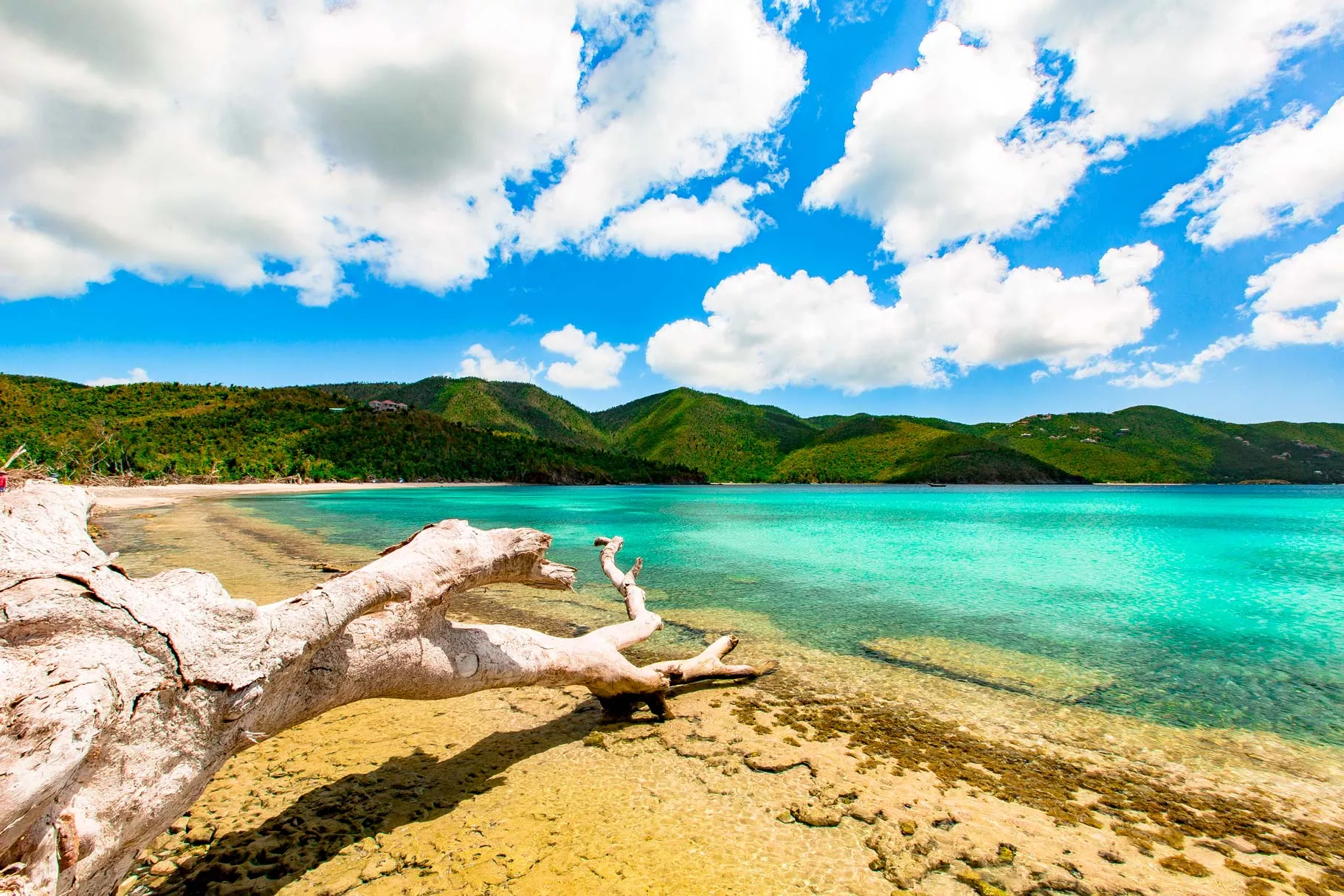 moving to the us virgin islands