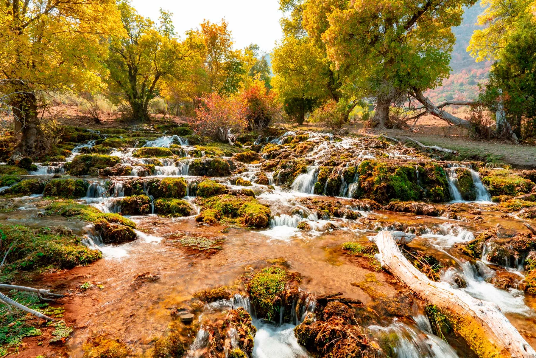 life in utah