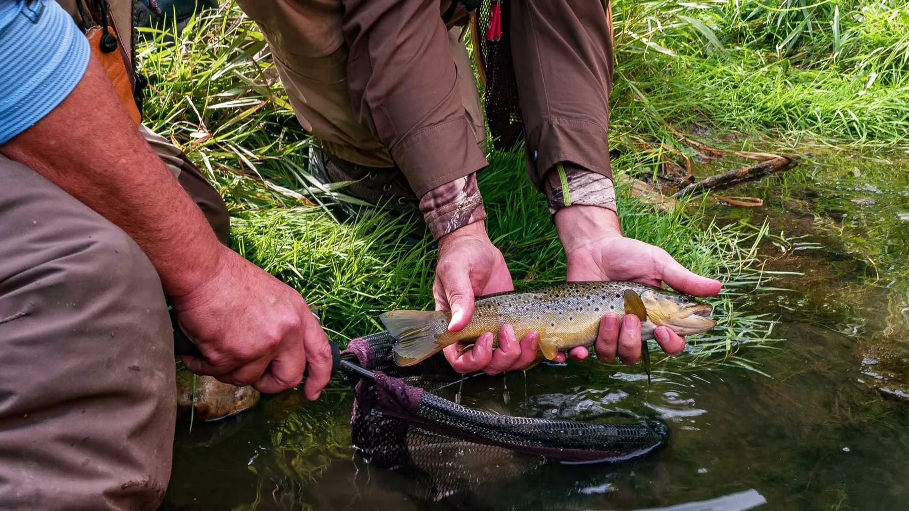 moving to south dakota, living in south dakota