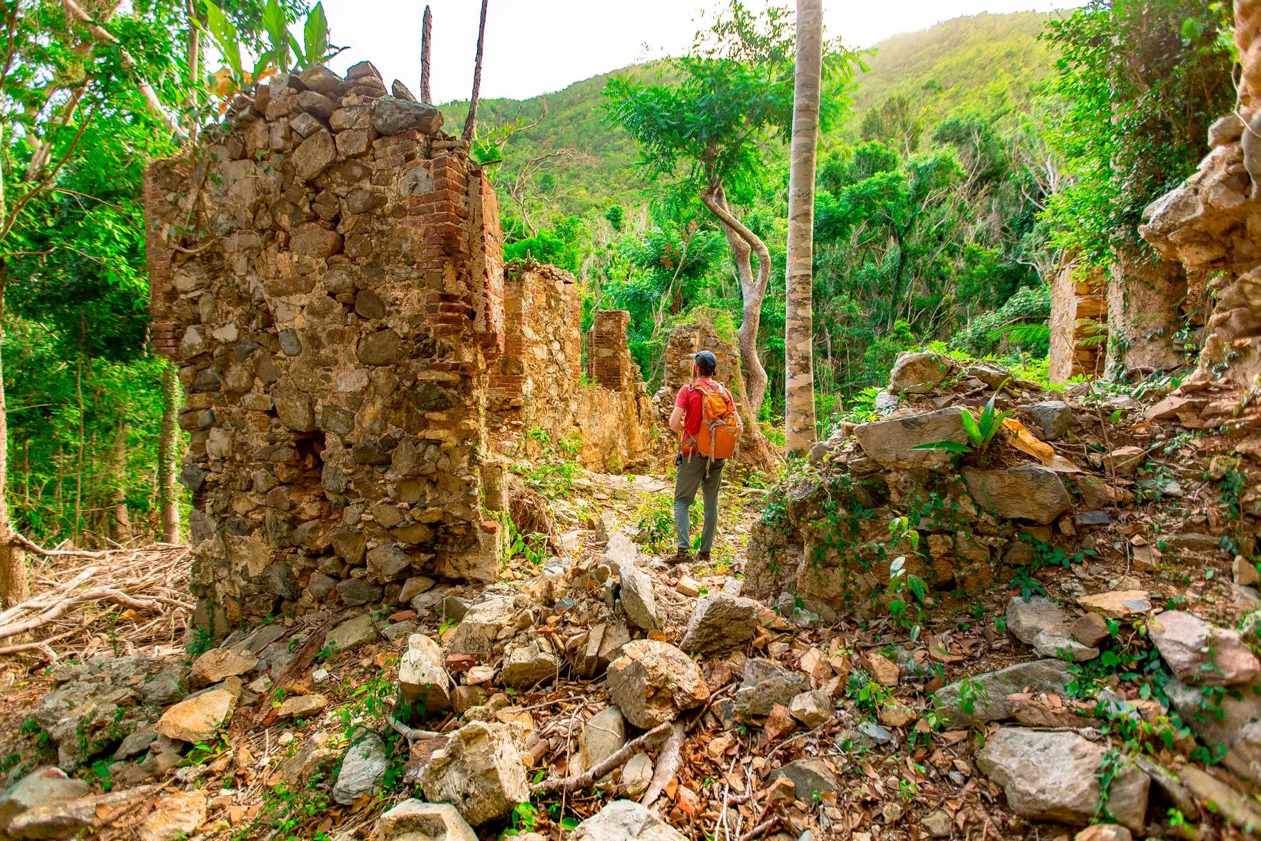 moving to the us virgin islands