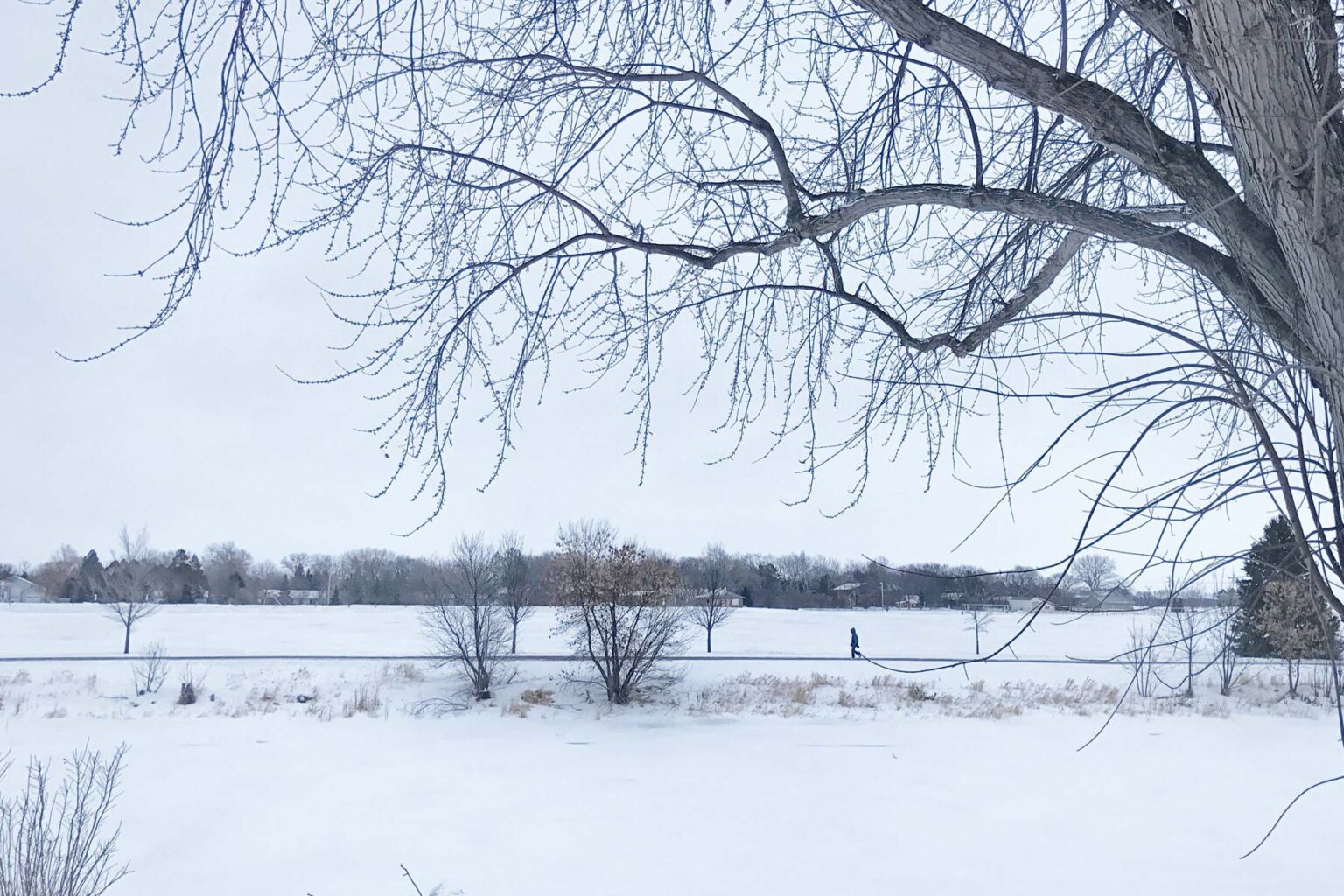 15 HONEST Pros & Cons of Living in South Dakota (Local Forum)