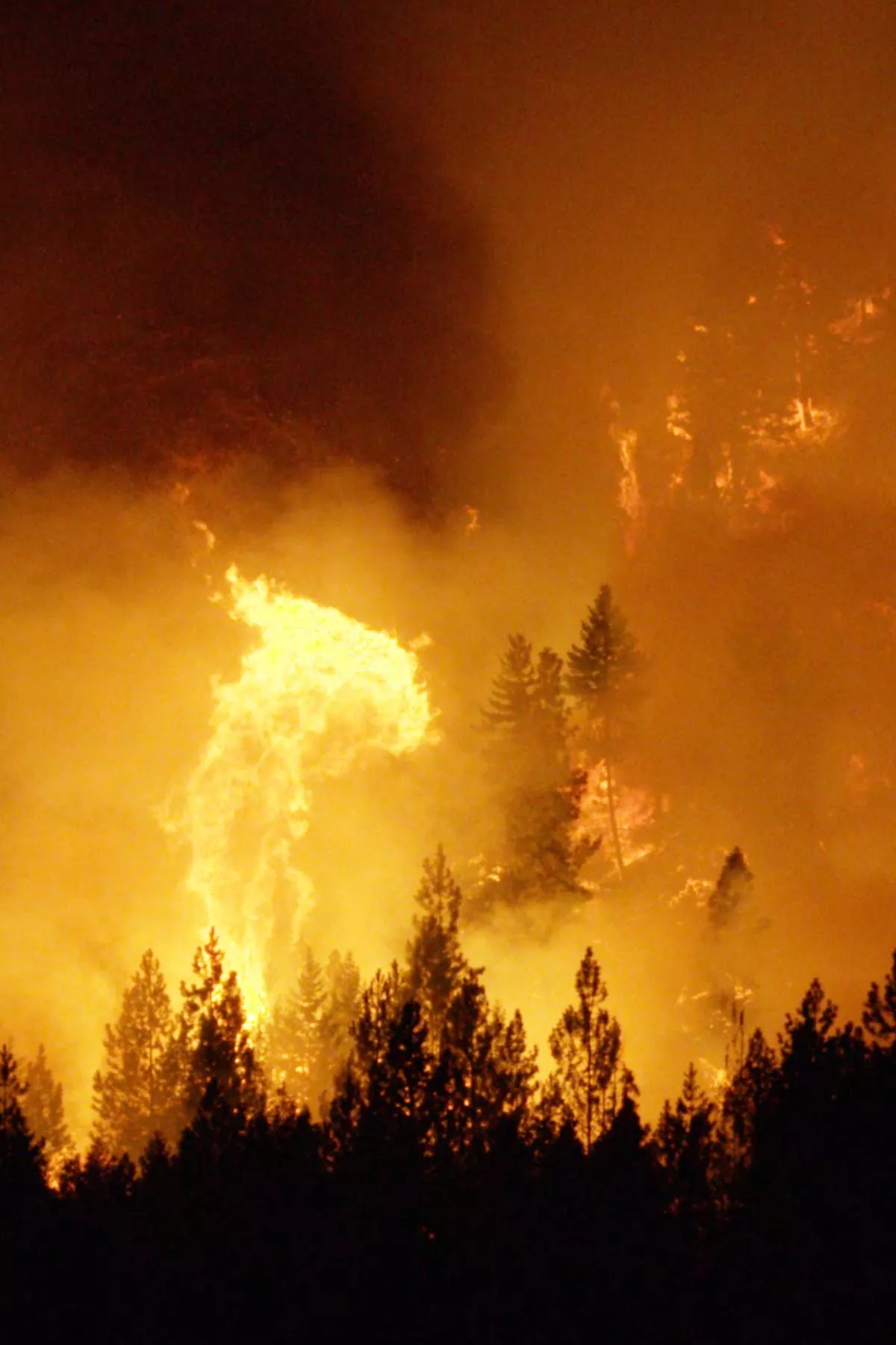 wildfires are a major con of living in washington