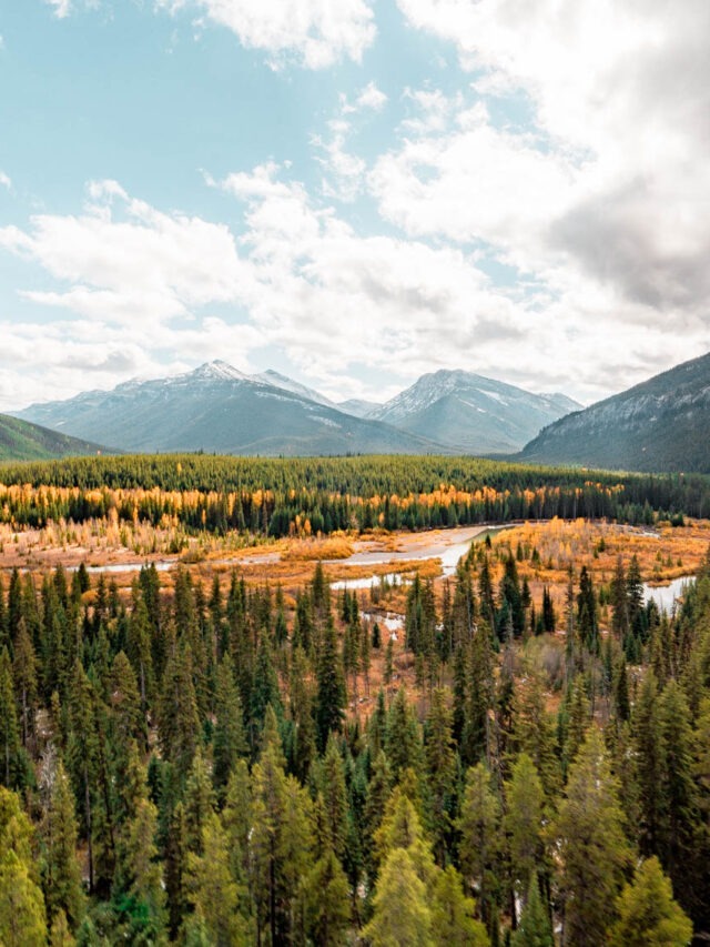 5 KEY Pros & Cons of Living in Montana (Local’s Perspective)