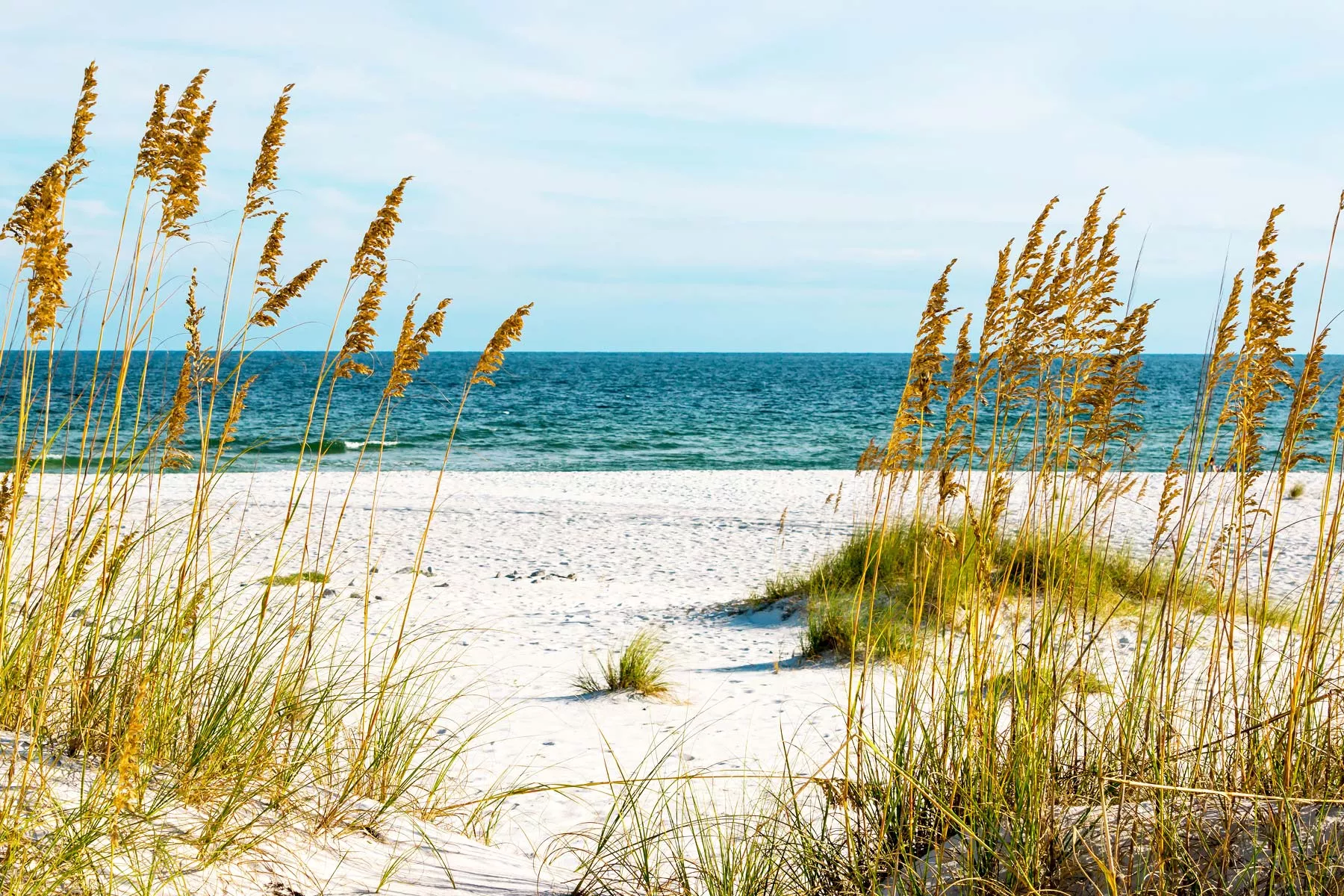 gulf shores is a perk of living in alabama