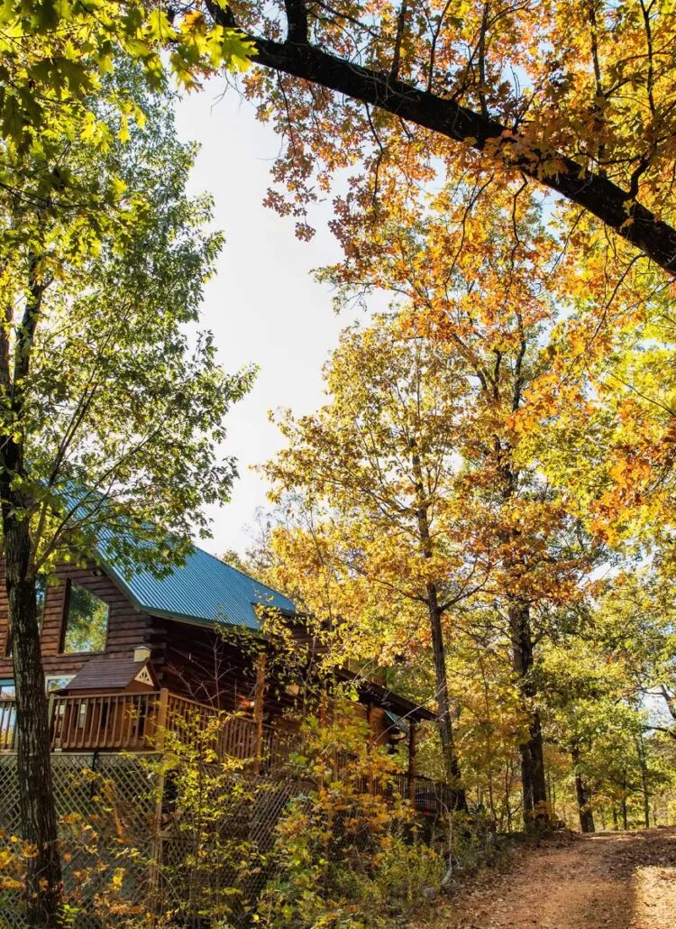 15 HONEST Pros & Cons of Living in Arkansas (Local’s Forum)