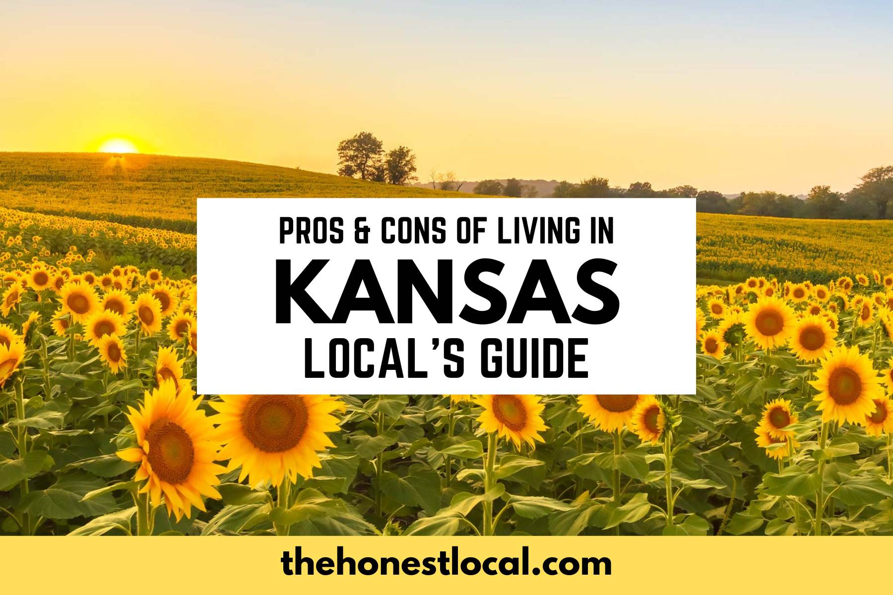 pros and cons of living in kansas, moving to kansas