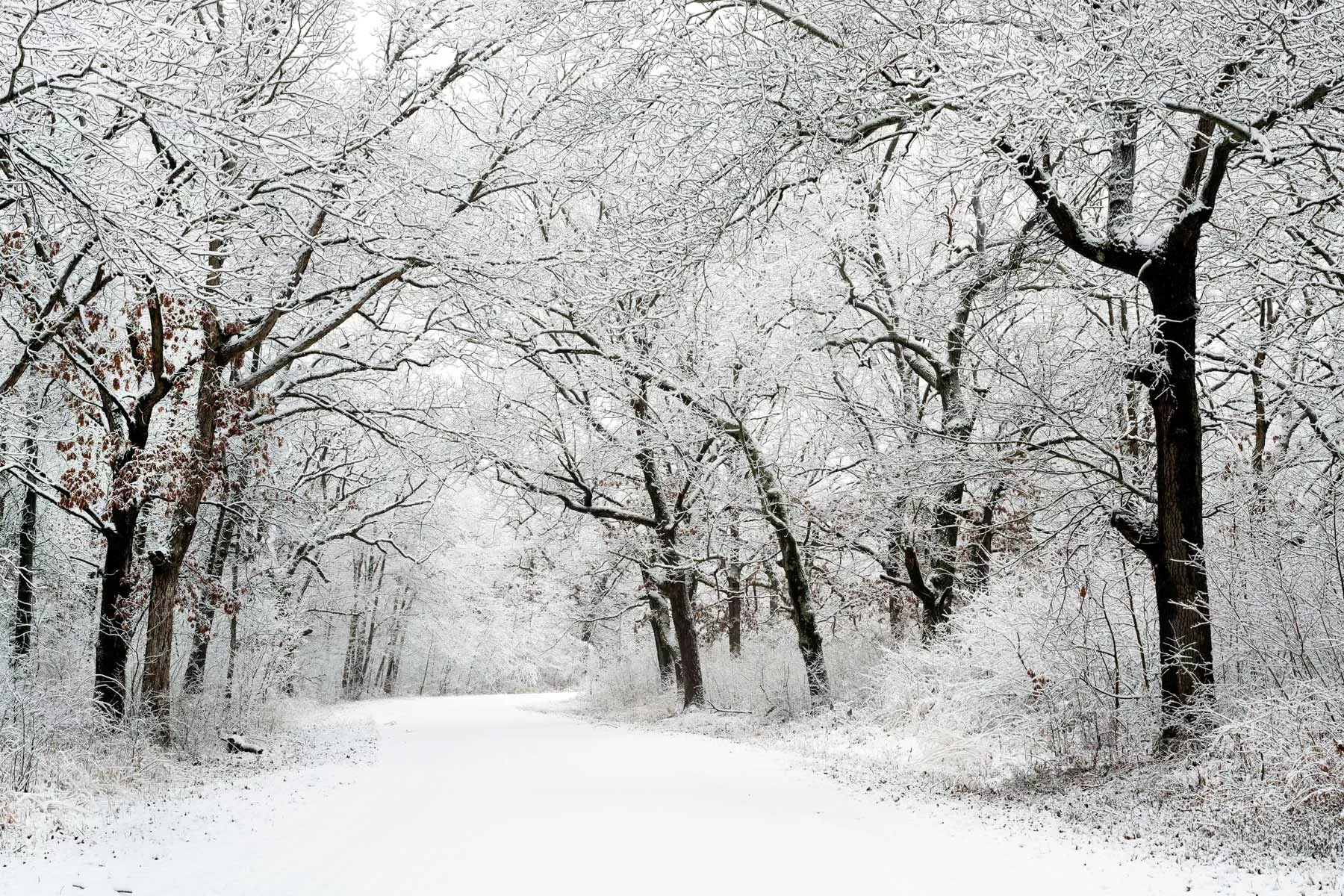 hard winters are a major con of living in indiana