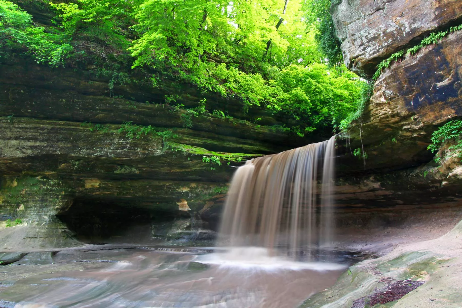 nature is a pro of living in illinois