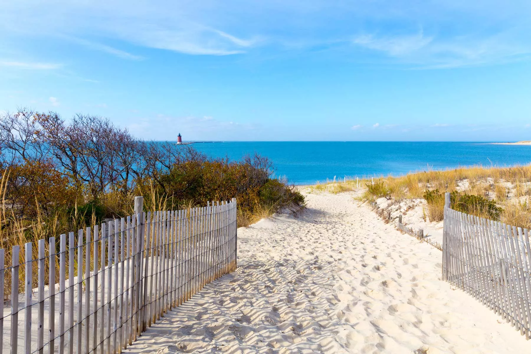 the beaches are a pro of living in delaware