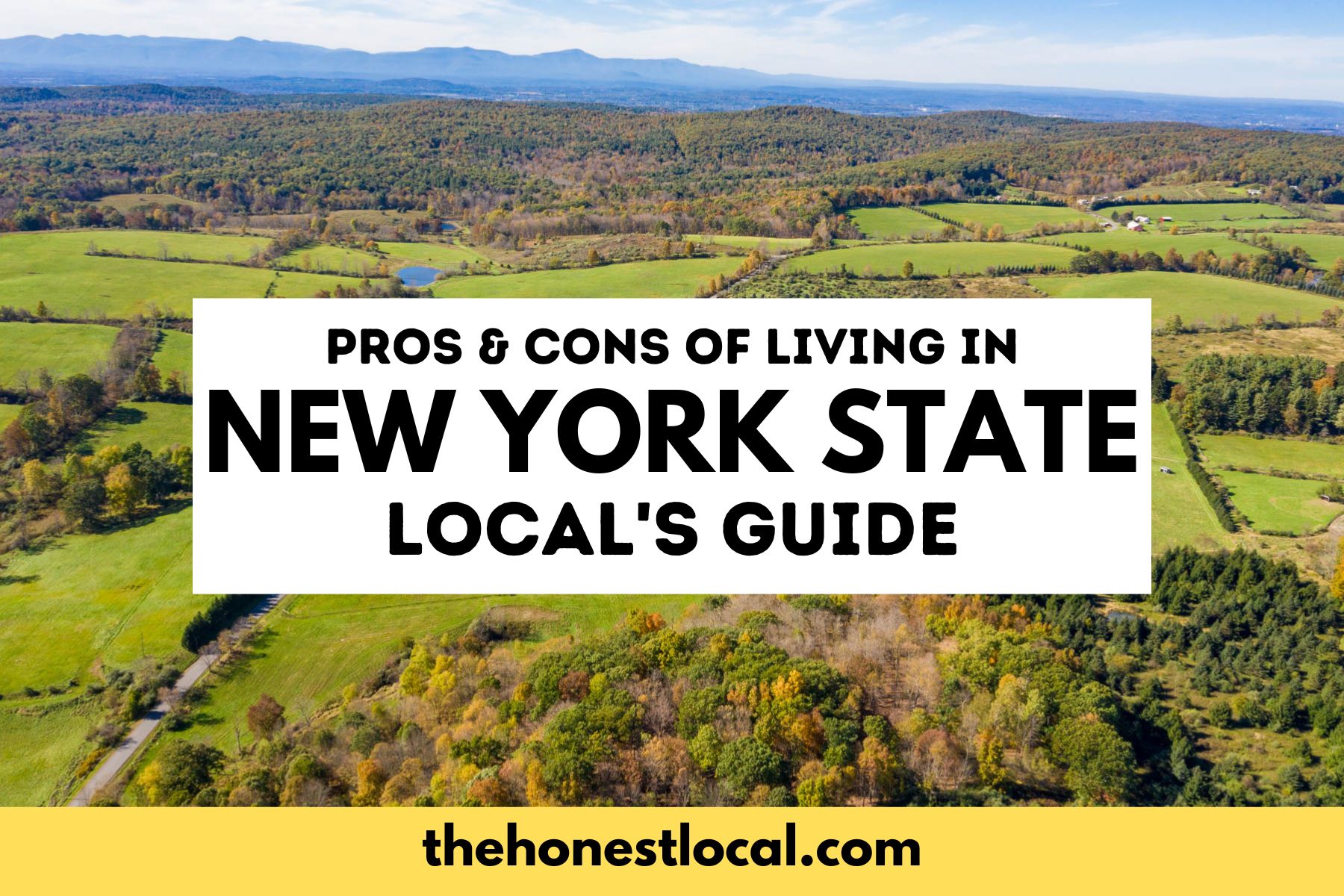 pros and cons of living in new york state
