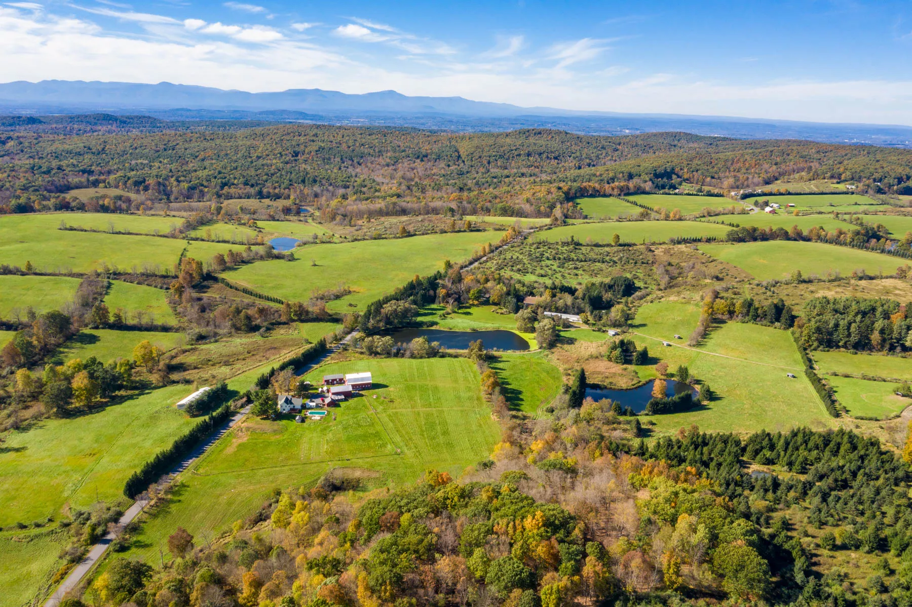 living in new york state