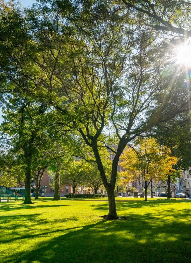 moving to new york state