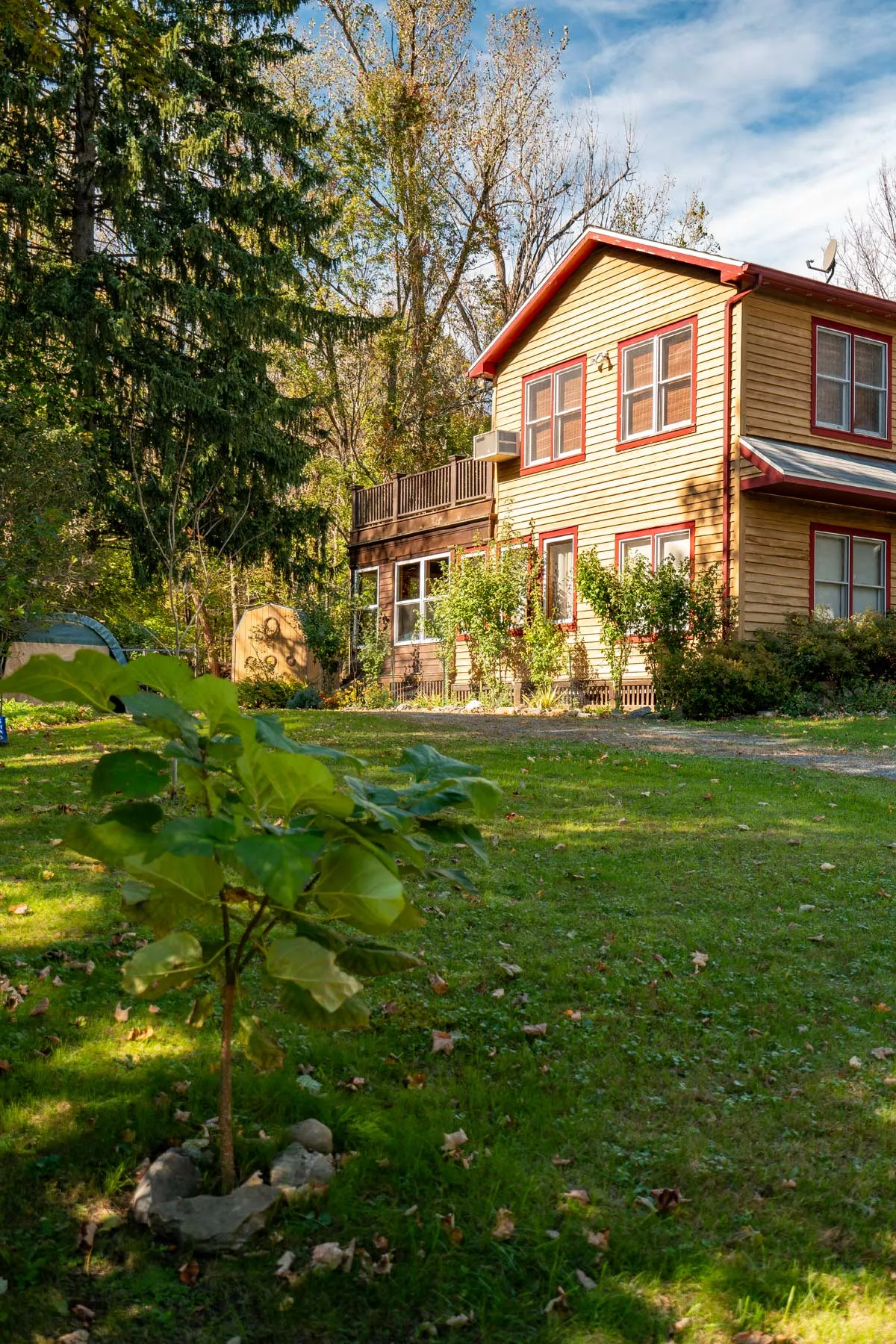 life in new york state