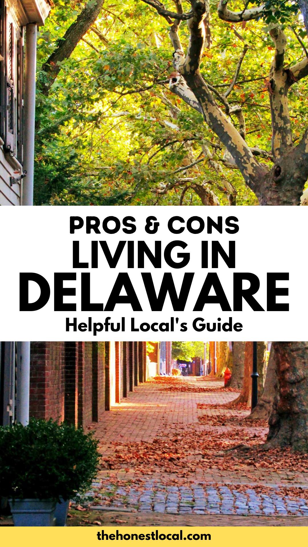pros and cons of living in delaware