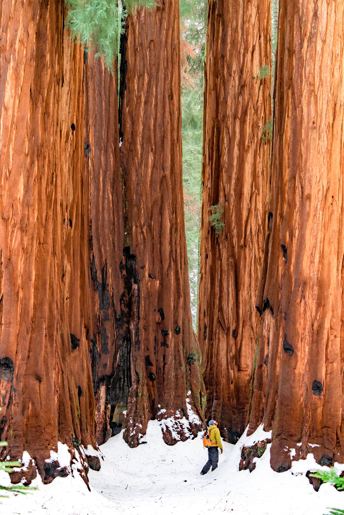 Living in California