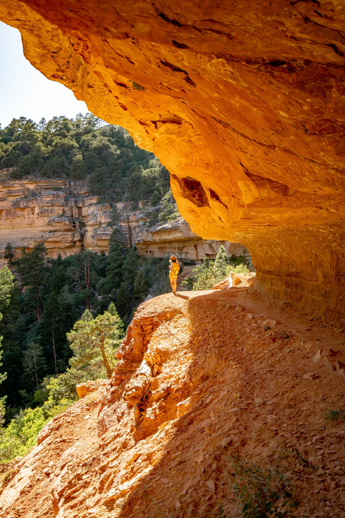 Pros and cons of living in Arizona