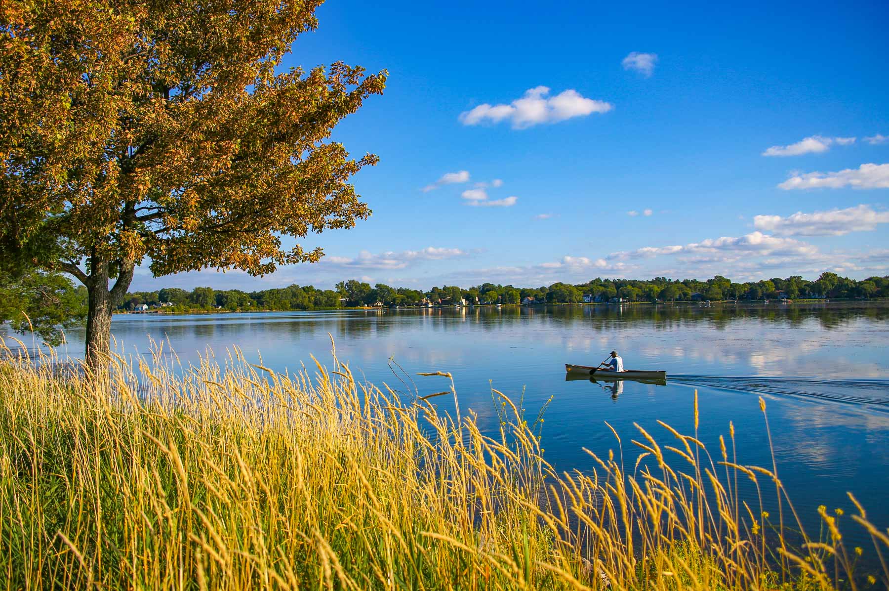 Moving to Michigan