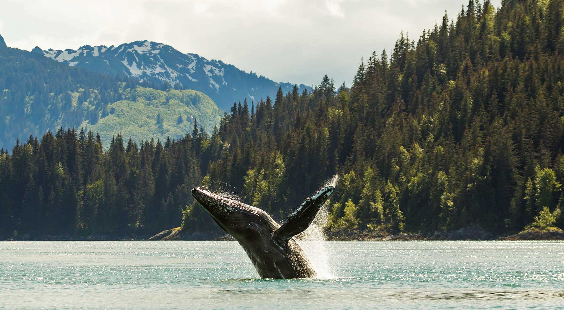 living in alaska, moving to alaska