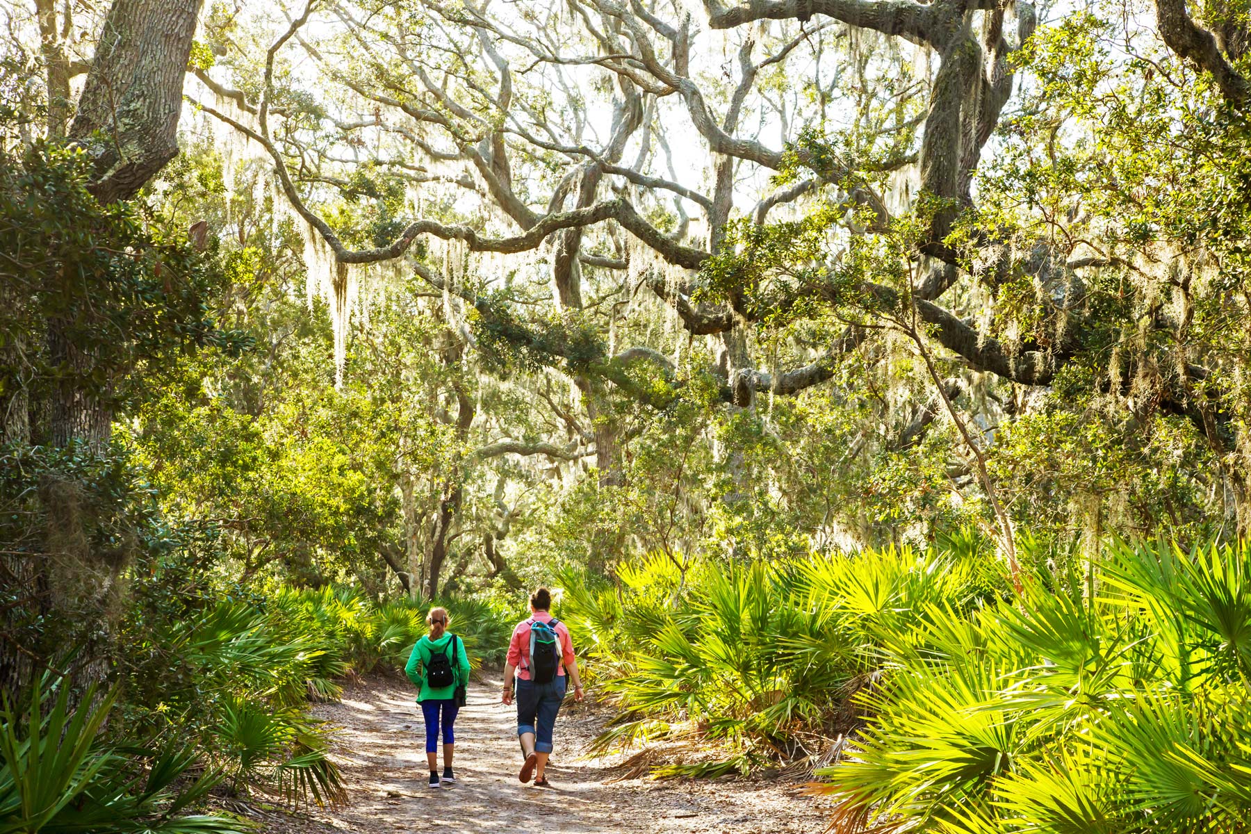 living in georgia, hiking cumberland island