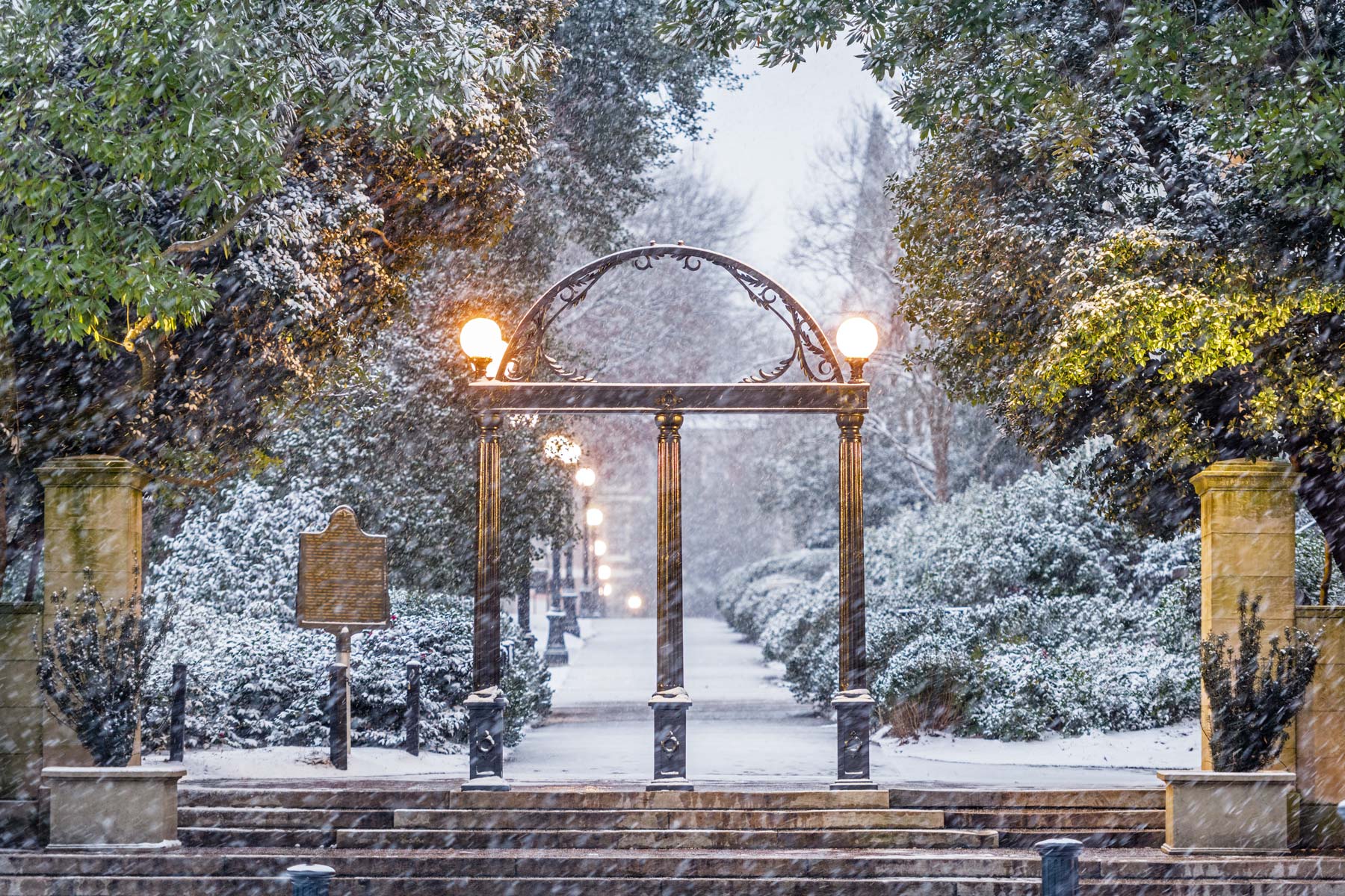 university of georgia winter